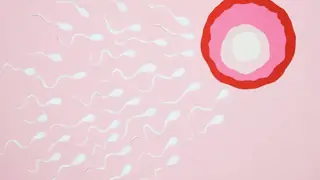 Stresin Erkeklerde Sperm Sağlığına Etkisi: Uzman Uyarısı