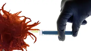 Her Hastaya Özel Aşı: Pankreas Kanserine Karşı Yeni Bir Umut