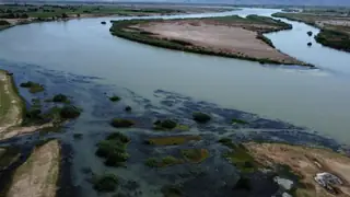 Samawa'nın doğusundaki Fırat Nehri'nde kimliği belirsiz ceset bulundu