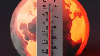 Dünya Meteoroloji Örgütü'nden Uyarı: 2026 Ortasında 'El Niño' Dönüşü Bekleniyor