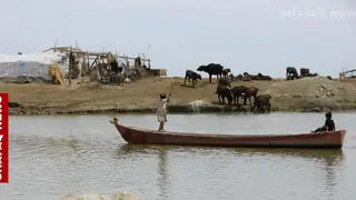 Irak'ın güneyindeki bataklıklar yeniden canlanıyor: Turizm hareketliliği başladı