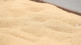 Anbar'da çiftçilerin alacakları için 7 milyar dinarlık ödeme başlatıldı