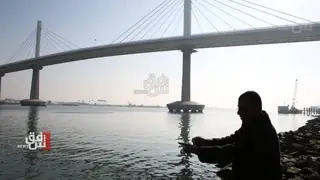 Basra Körfezi'nde bir yunusun avlanması tepkilere yol açtı