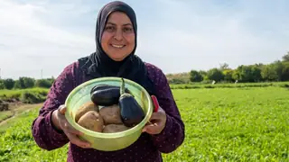 Su bolluğu tek başına yetmiyor: Irak tarımsal kendine yeterlilikten neden uzak?