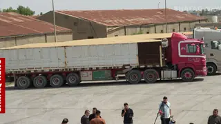 Basra'da buğday hasadı başladı: 24 bin ton ürün bekleniyor