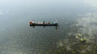 Yağışlar Irak'ın Huweiza Bataklıklarını Canlandırdı
