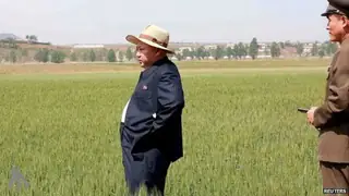 Kuzey Kore'de Olağan Dışı Kuraklık Alarmı