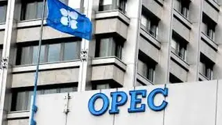 OPEC yetkilisi: OPEC artık enerji piyasası dönüşümlerine ayak uyduramıyor ve kısıtlamaları üye ülkelerin önünü tıkıyor