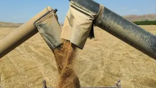 Ticaret Bakanlığı, Çiftçilerin Alacaklarından 100 Milyar Dinar Ödeme Yapıldığını Açıkladı