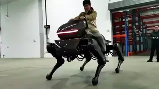 Çin, zorlu arazi ve kurtarma görevleri için robot at geliştirdi