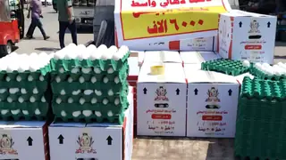 Tarım Bakanlığı: Yerli yumurta üretimi yeterli, piyasada kriz yok