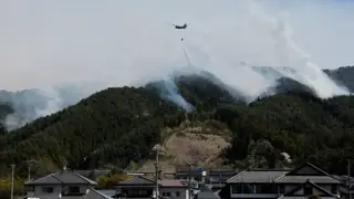Japonya, on yıllardır görülen en büyük orman yangınını söndürdü