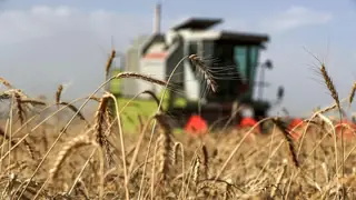 Necef'te hasat dönemi için yangın önleme planı devreye alındı