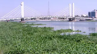 Zikar'da Fırat Nehri'ni temizleme kampanyası başlatıldı