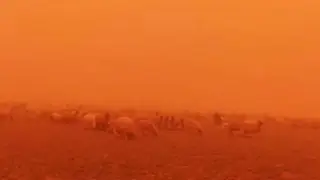 Irak'ta toz fırtınası nedeniyle binden fazla kişi hastaneye kaldırıldı