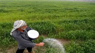 Su Kıtlığı Krizi Sonrası: Divaniye'nin Yaz Tarım Planı %100 Onaylandı