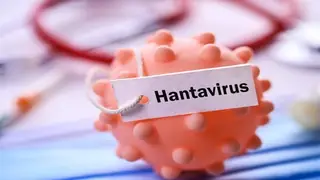 Hanta Virüsü Enfeksiyonunun Belirtileri