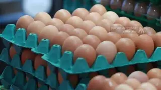 Irak Ticaret Bakanlığı'ndan yumurta fiyatlarına düzenleme: 6 bin dinar sınırı