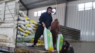 Irak Ticaret Bakanlığı'ndan Gıda Sepeti Dağıtımı Açıklaması