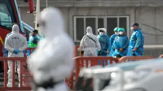 Hantavirüs gemisinden ABD'li vatandaşın testi pozitif çıktı
