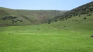 Kermanşah'ın Maragi Otlakları: Sınır ötesi sel tehdidine karşı doğal bir set ve çevresel akciğer