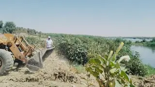Kerkük polisi zehirli datura bitkisine karşı uyarı yaptı