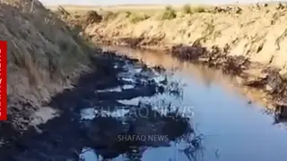 Kerkük batısında petrol kirliliği tarım ve hayvancılığı tehdit ediyor
