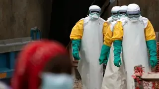 Kongo Demokratik Cumhuriyeti'nde Ebola: 65 Ölü, Yüzlerce Vaka