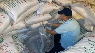 Irak'ın alımlarındaki düşüş Tayland pirinç ihracatını vurdu