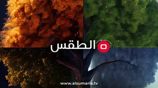 Önümüzdeki günlerde yağmur, toz ve sıcaklık değişimi