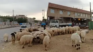 Bağdat’ta kuralsız kesime karşı yeni önlemler