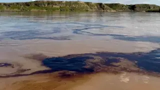 Vasit'te Dicle Nehri'nin Kirlenmesi 180 Bin Vatandaşı Su Kıtlığıyla Karşı Karşıya Bıraktı