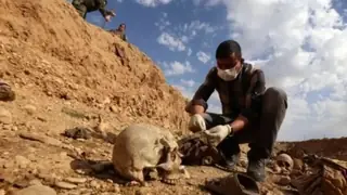 Soykırım kanıtlarının silinme tehlikesi: Enfal mezarlığını kurtarma çağrısı